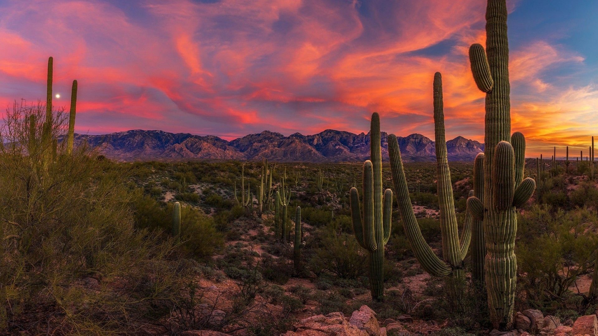 1920x1080 Phoenix Arizona HD Wallpaper 121412