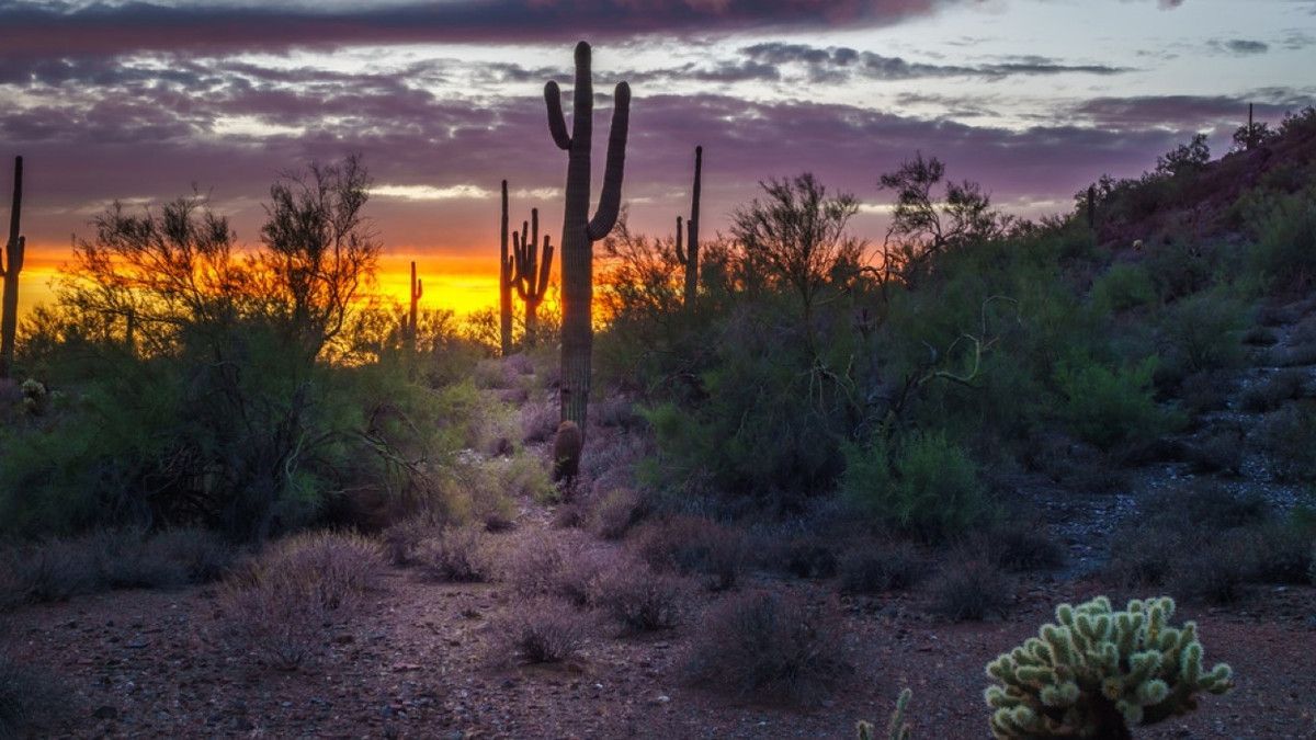1200x675 Here's What Phoenix, Arizona, Looks Like In Winter (& Why You Should Visit)