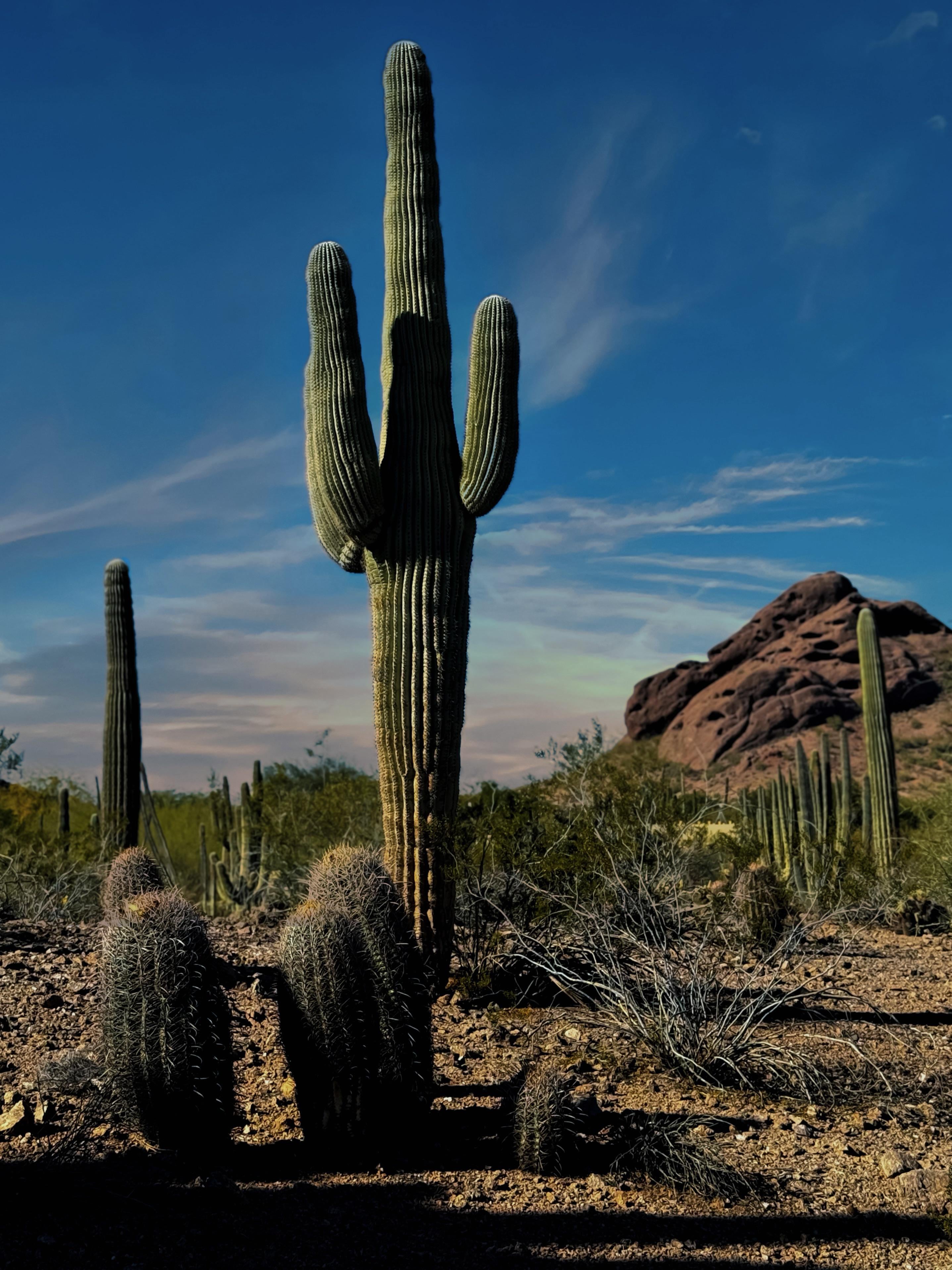 2875x3834 May I have some iPhone wallpaper ideas? Specifically pics of towns and cool places? This is my dream state