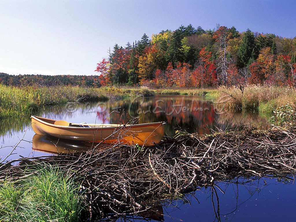 1024x768 Adirondack Wallpaper, Niagara Falls, Wild New York Wallpaper, Widescreen Wallpaper, The Gates, Central Park, NYC, Prospect Park, New York City Wallpaper, Fire Island, Chittenango Falls, Marcy Dam Wall Paper, Gore Mtn, Lake