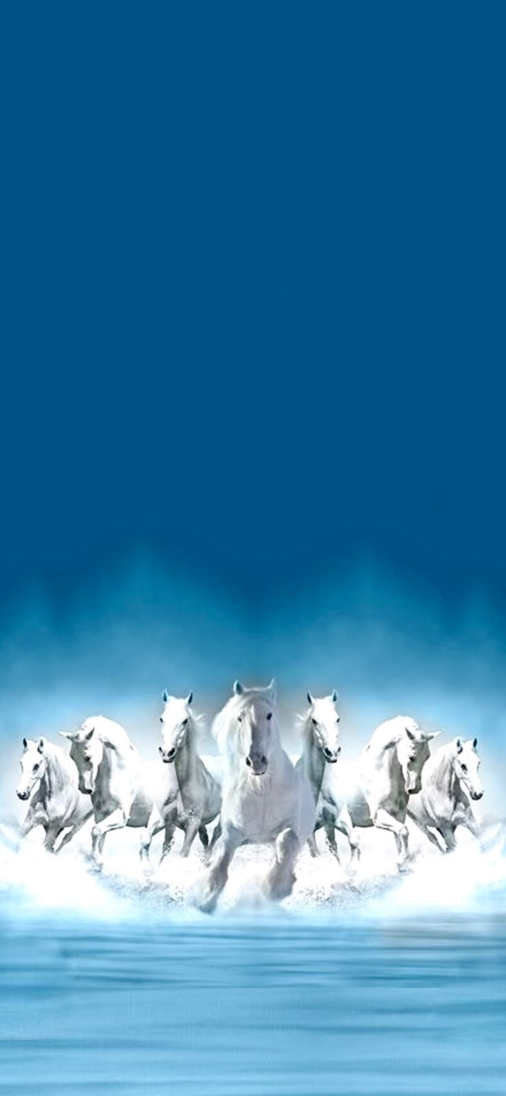 736x1593 Majestic White Horses Running in Water