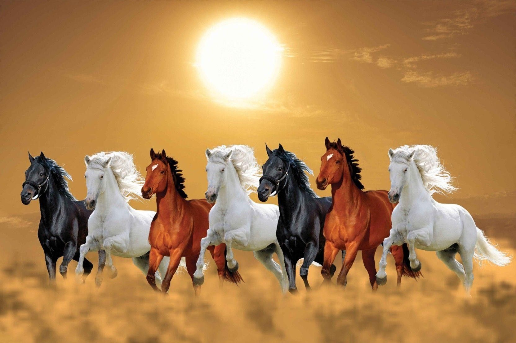 1664x1109 Horse wallpaper ideas. horse wallpaper, horse painting, horses