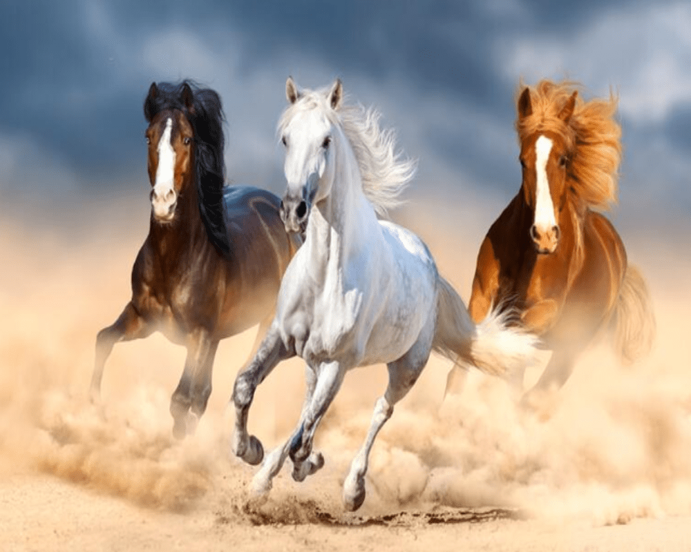 1000x800 3D Wallpaper Running Horses. Animal Theme Wallpaper