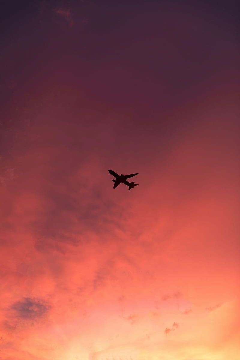 800x1200 Plane, flight, sunset, clouds, sky, HD phone wallpaper