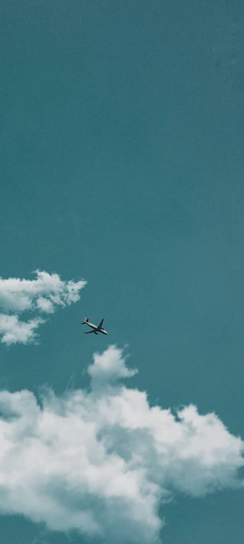 800x1778 Plane and sky, cloud, flight, fly, blue, clouds, sun, HD phone wallpaper