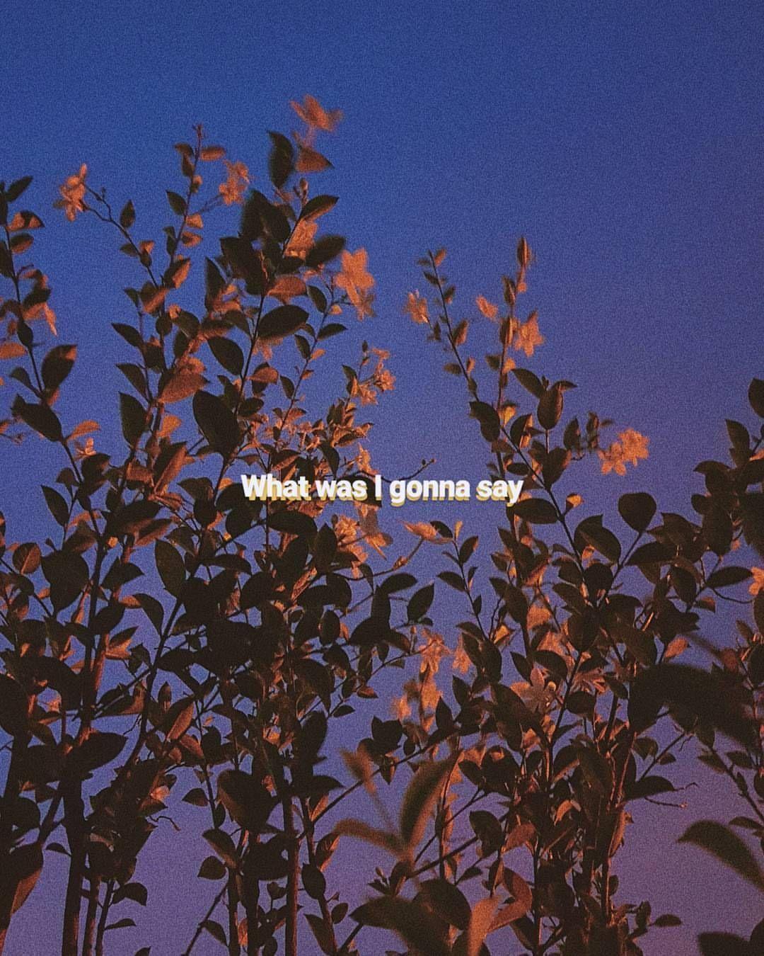 Aesthetic Instagram Wallpapers Top Free Aesthetic Instagram Backgrounds Wallpaperaccess