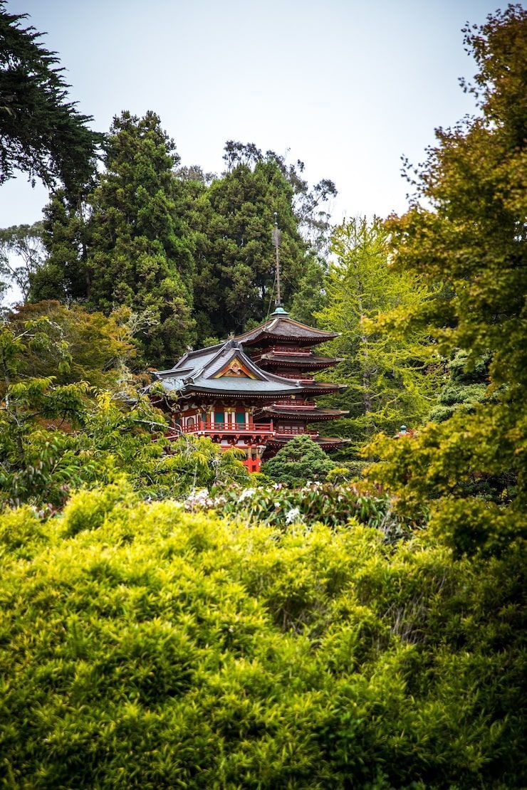 740x1110 Shikoku Image