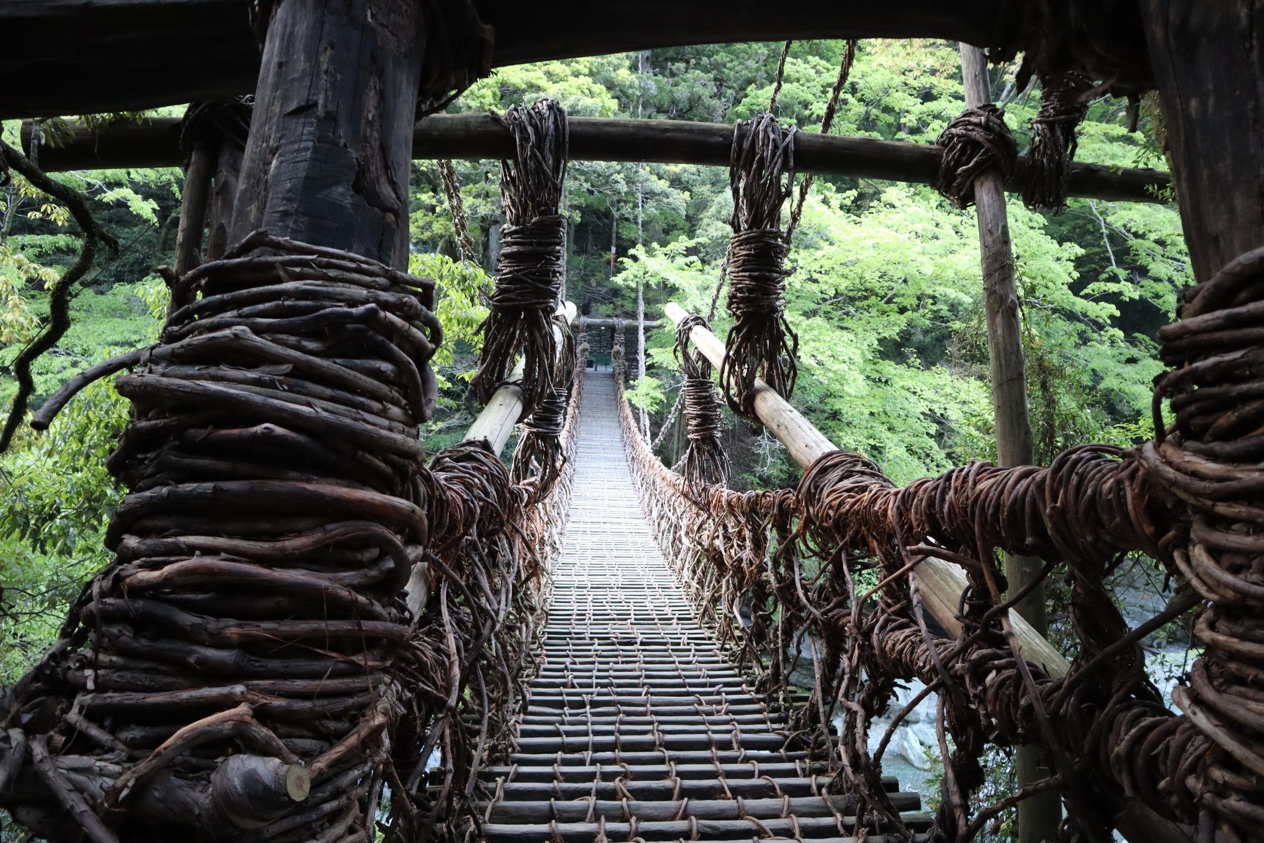2560x1707 Days 4 Nights Shikoku Tour