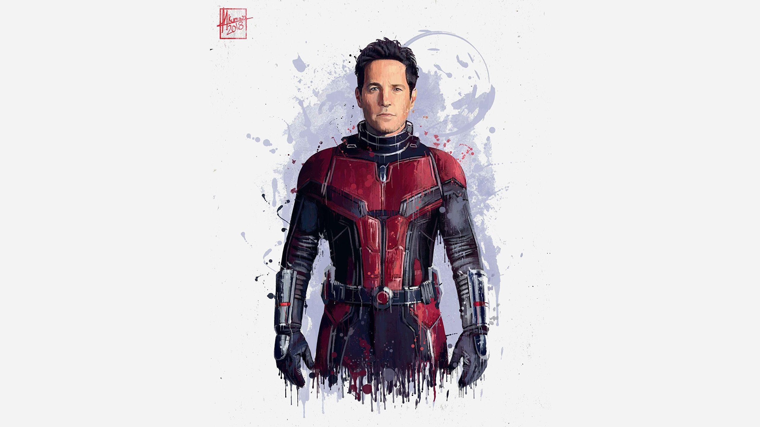 2560x1440 Wallpaper Ant Man (film) Avengers: Infinity War Ant Man 2560x1440