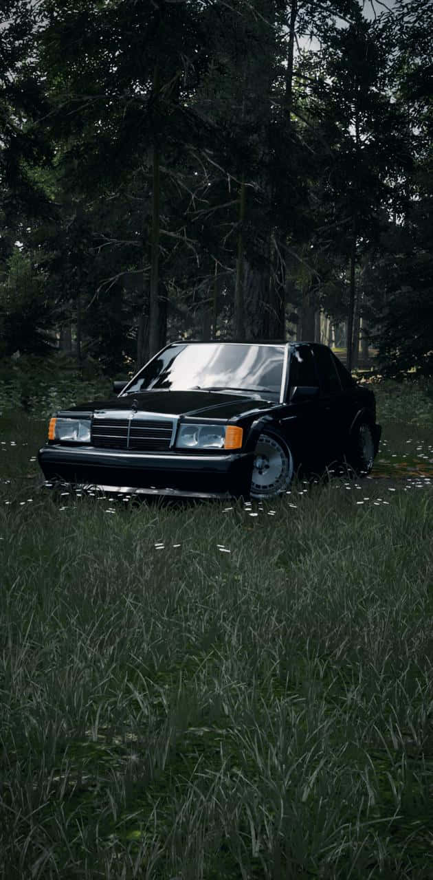 630x1280 Download Old Mercedes Benz In Grassland Wallpaper
