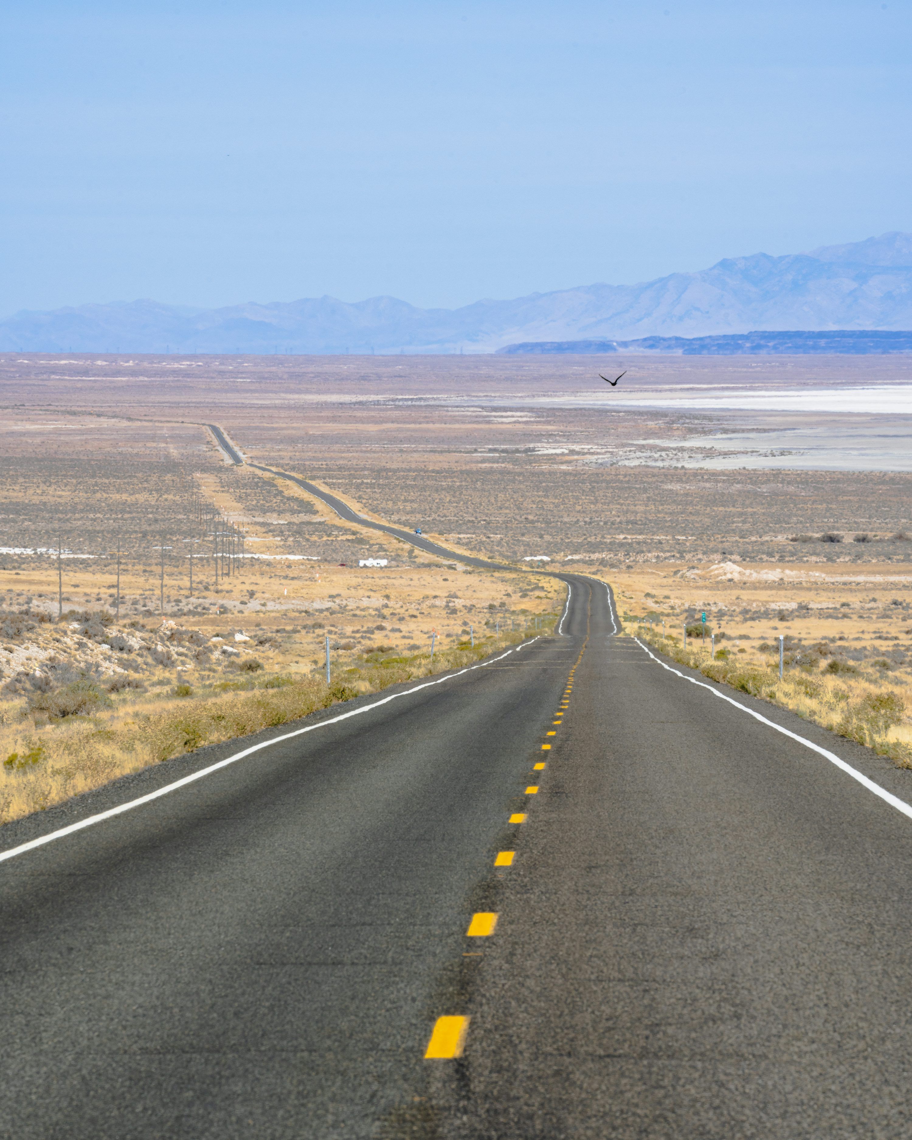3000x3750 Black asphalt road in between brown grass field during daytime photo