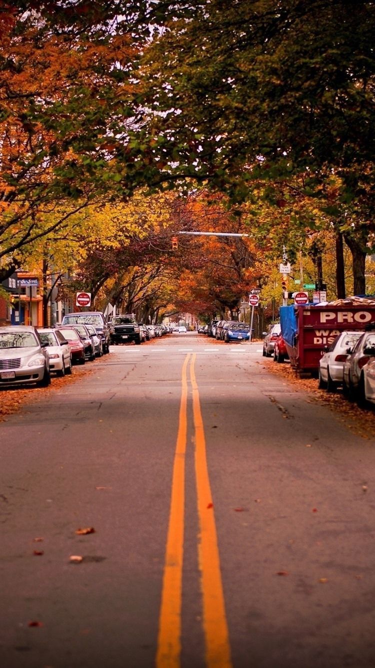 750x1334 Road, Trees, Cars, City, Autumn, USA 750x1334 IPhone 8 7 6 6S Wallpaper, Background, Picture, Image