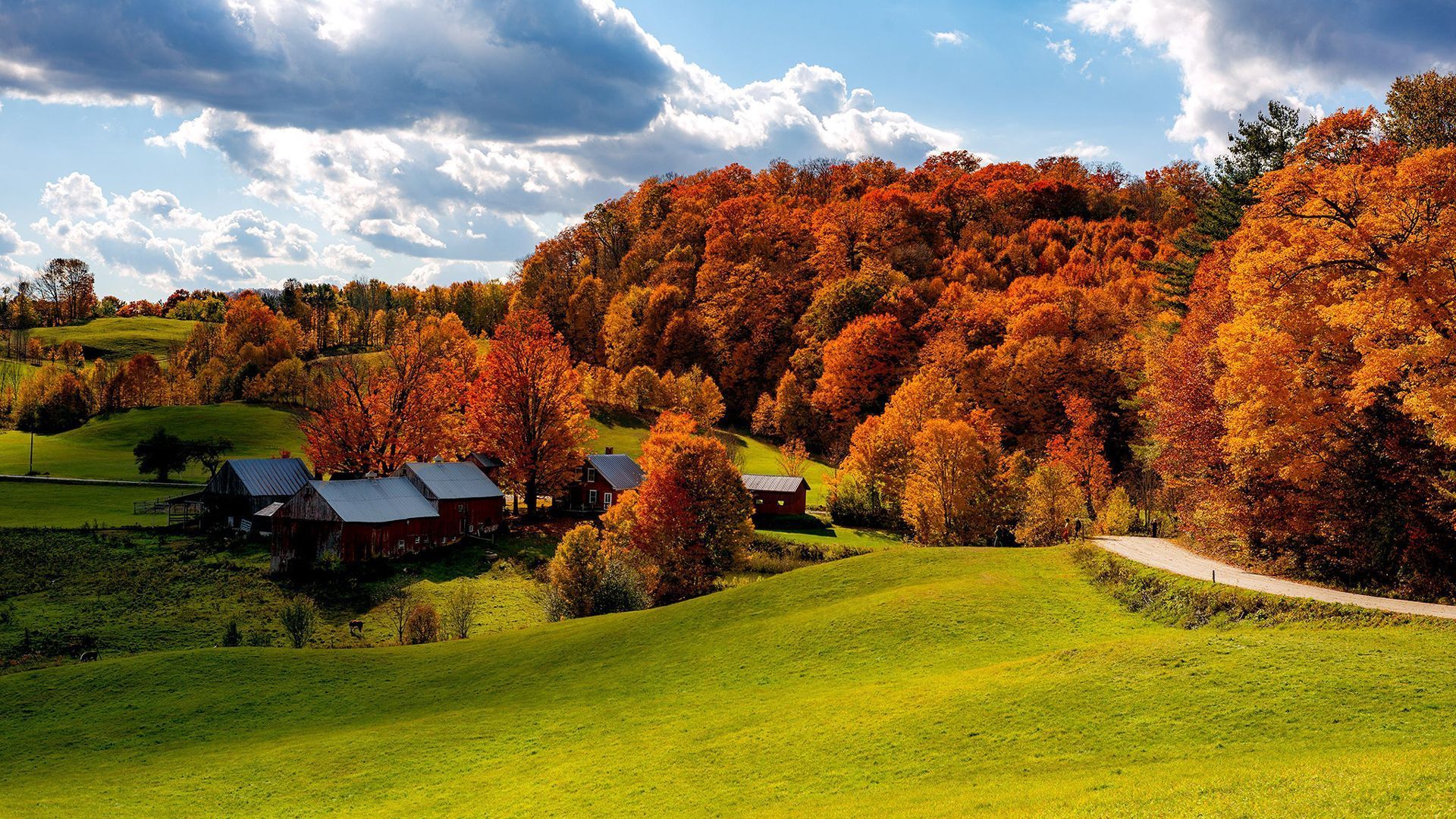 1920x1080 USA Vermont Forest With House And Road Between Field And Trees Under Cloudy Sky During Fall HD Nature Wallpaper
