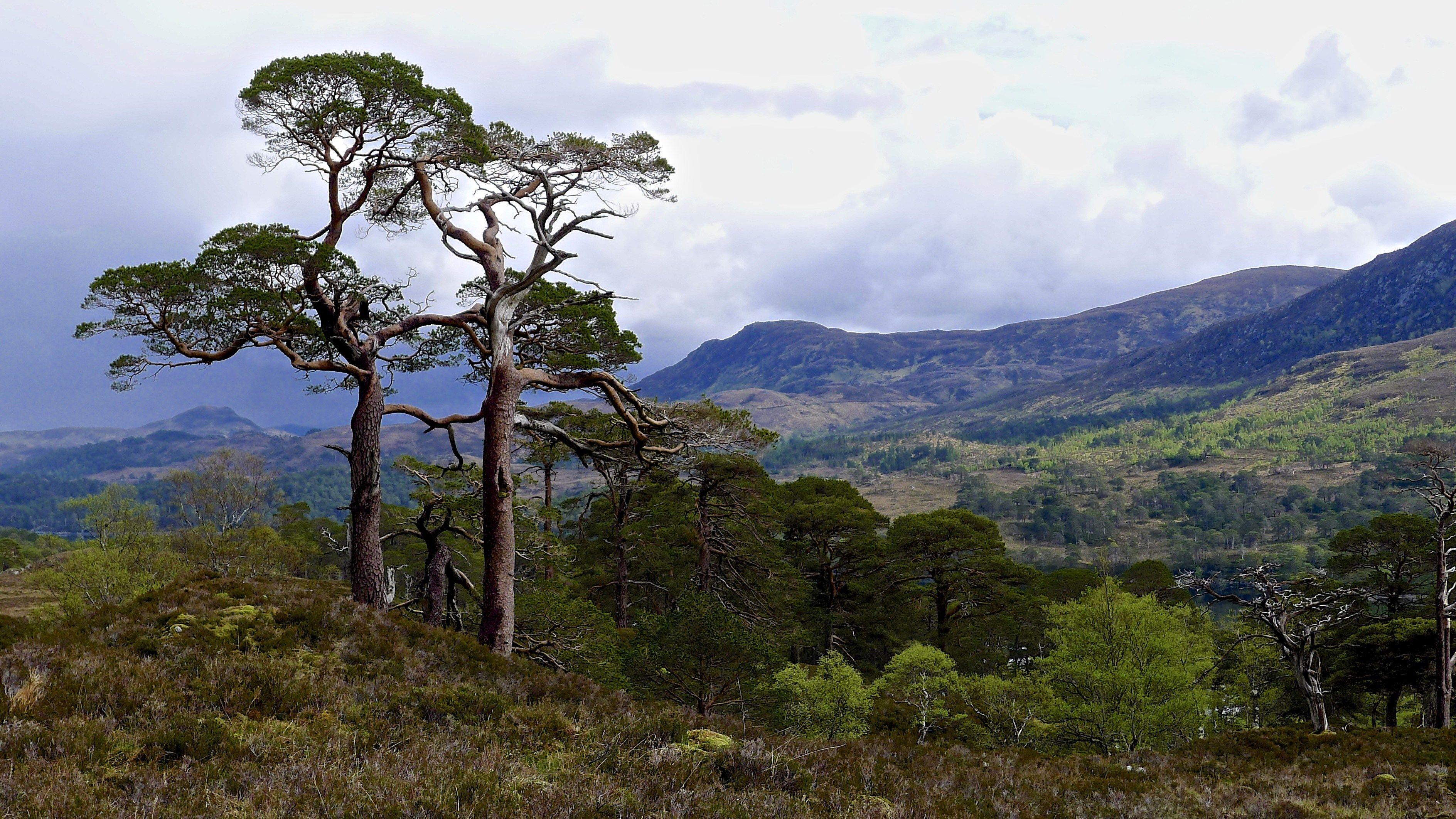 3776x2124 Scotland Wallpaper