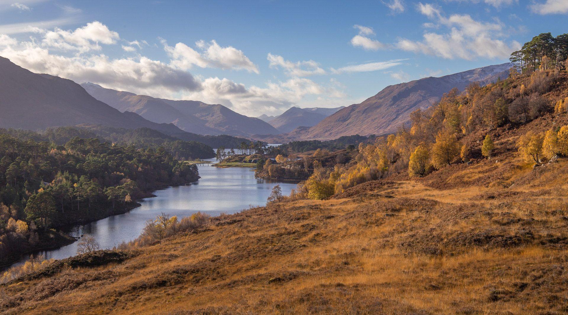 1920x1064 Glen Affric Schottlands ursprüngliche Natur überlebt