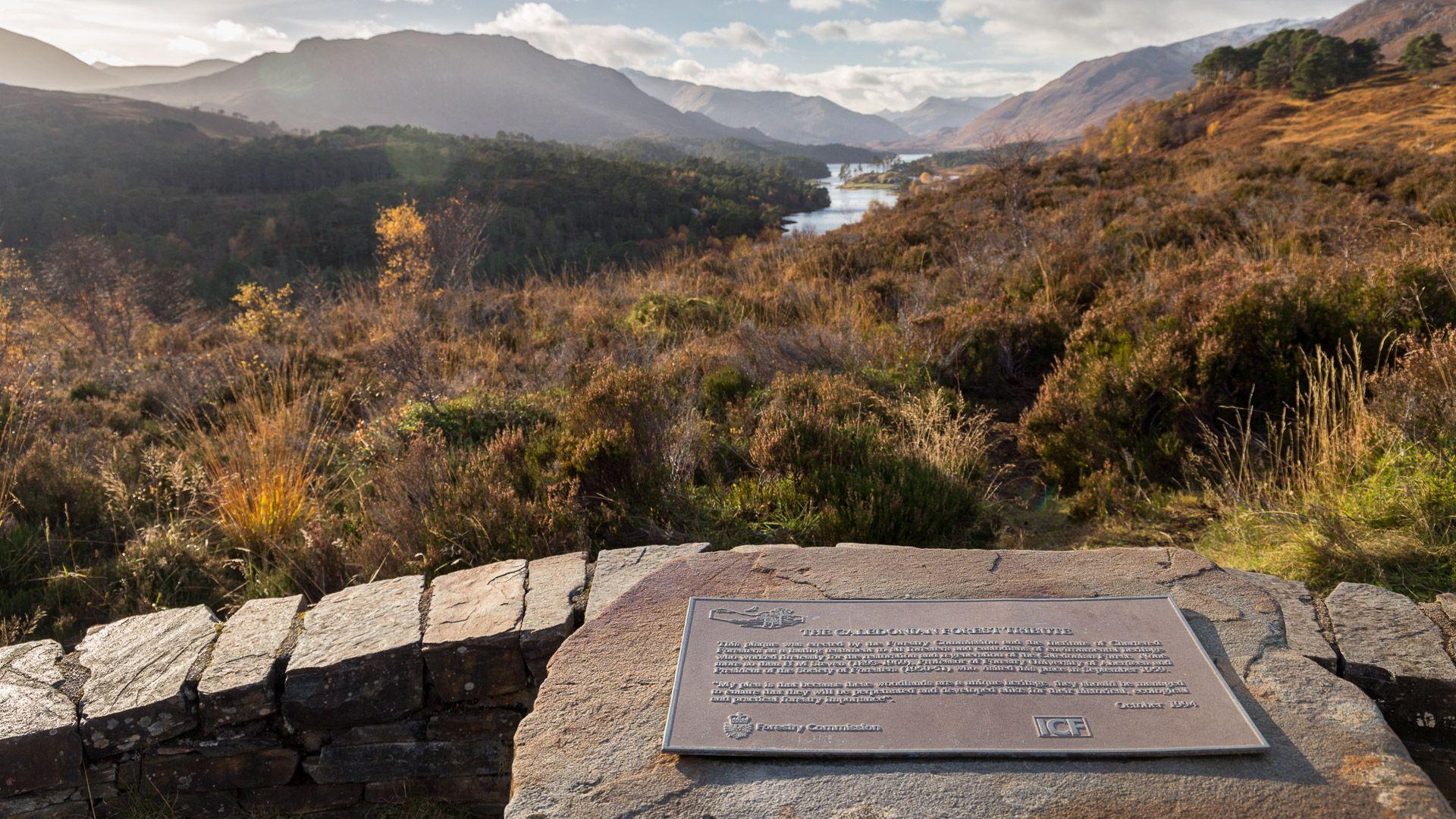 1920x1080 Glen Affric Schottlands ursprüngliche Natur überlebt