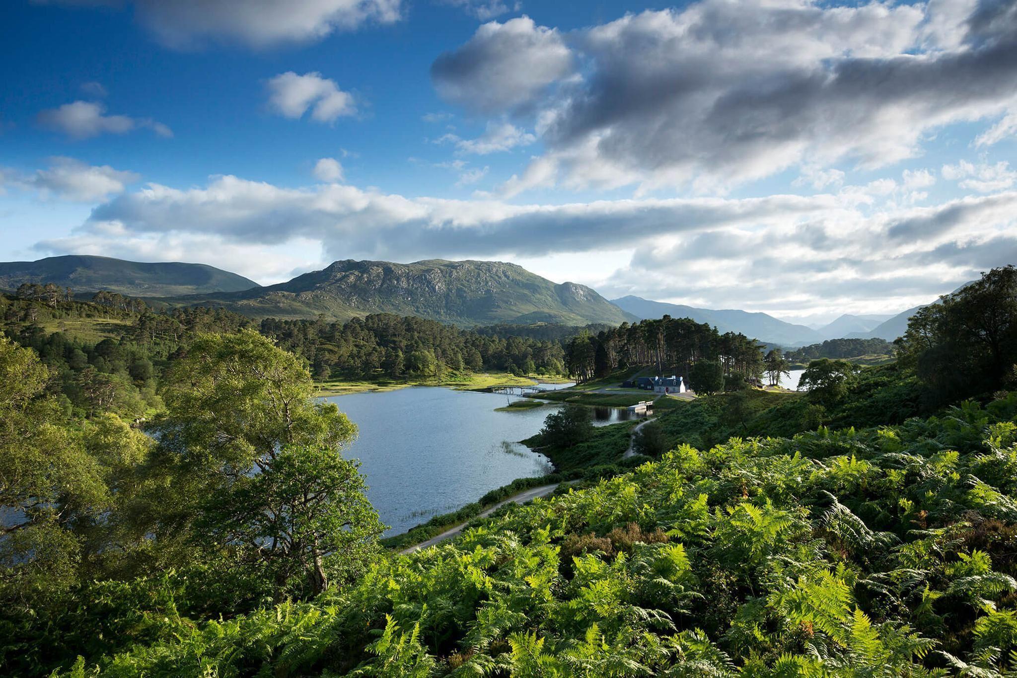 Glen Affric Wallpapers - Top Free Glen Affric Backgrounds - WallpaperAccess