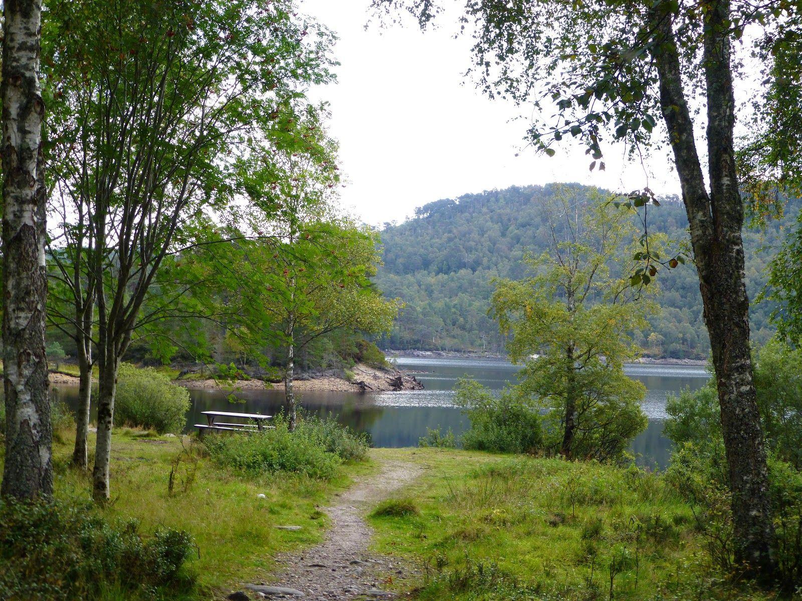 1600x1200 Big Gorse Bush: Canoe on Loch Beinn a'Mheadhoin, Glen Affric