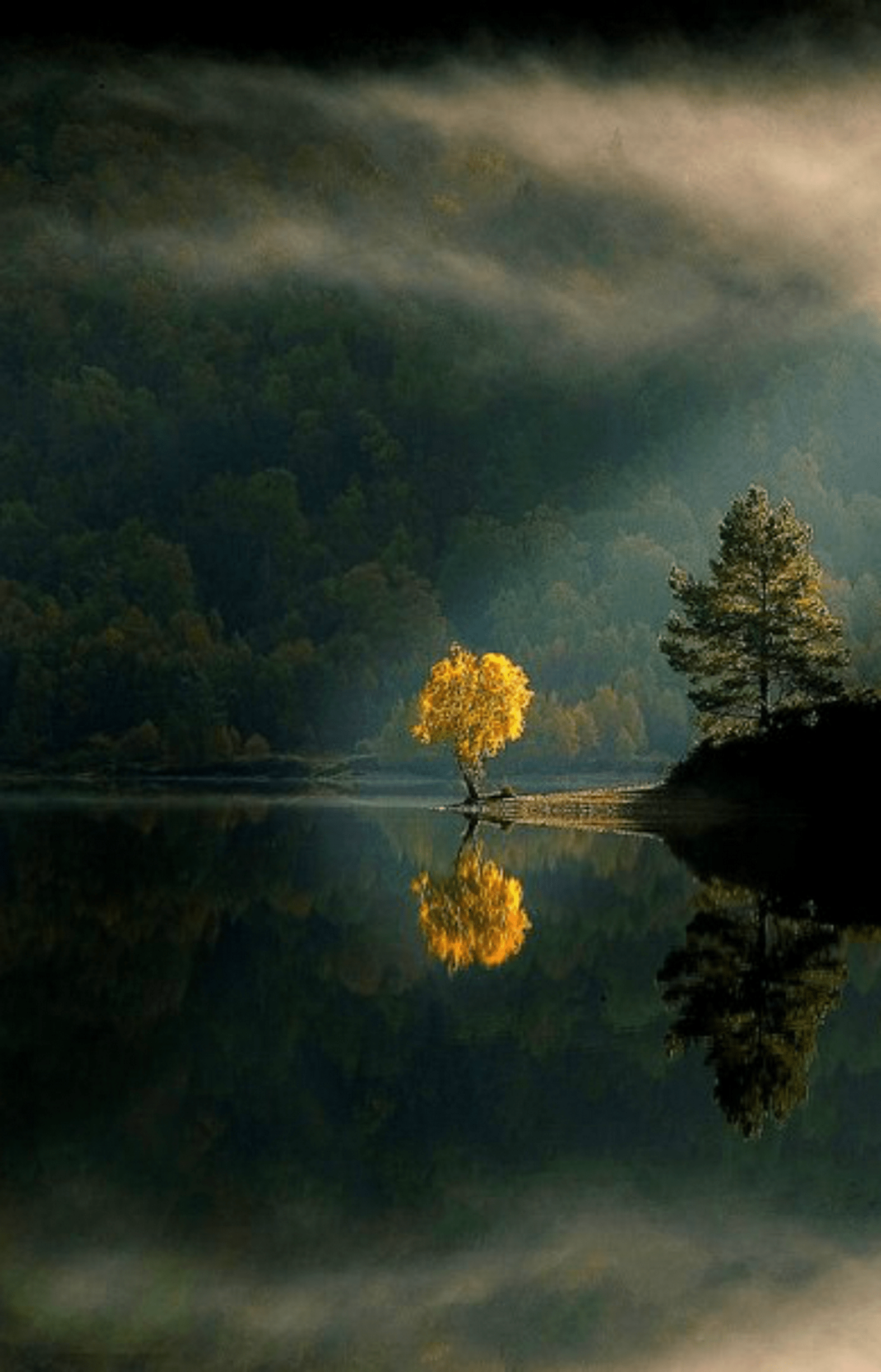 1590x2475 By Glen Affric & Strathglass Website /‎