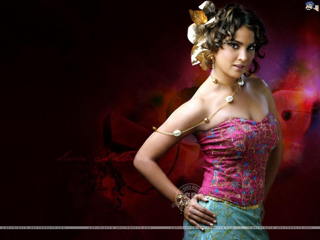1024x768 Lara Dutta Wallpaper