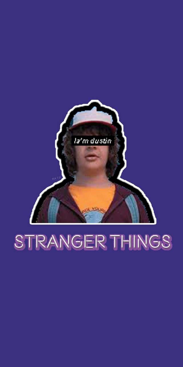Download Stranger Things 4 Dustin Henderson Wallpaper  Wallpaperscom