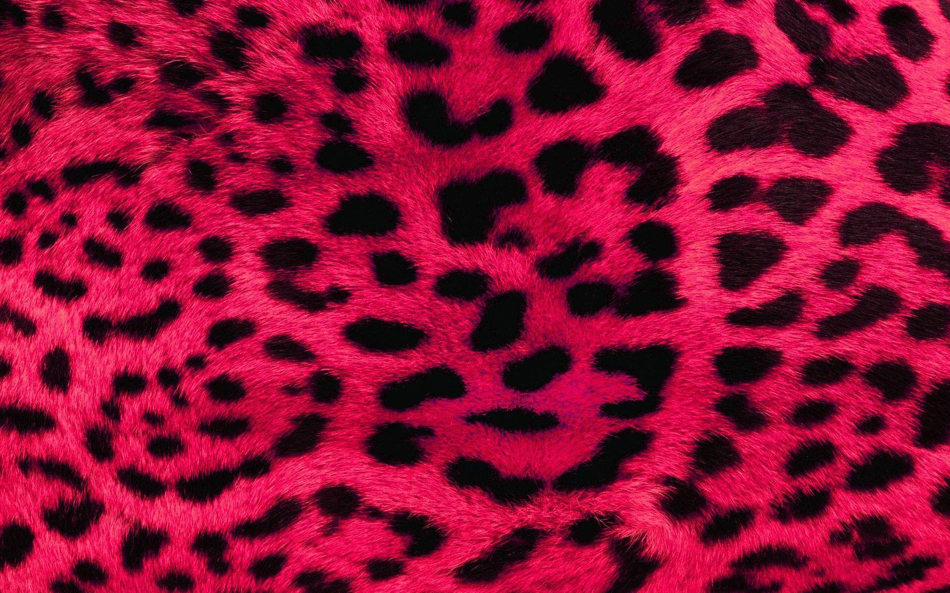 1920x1200 Pink Leopard Wallpaper