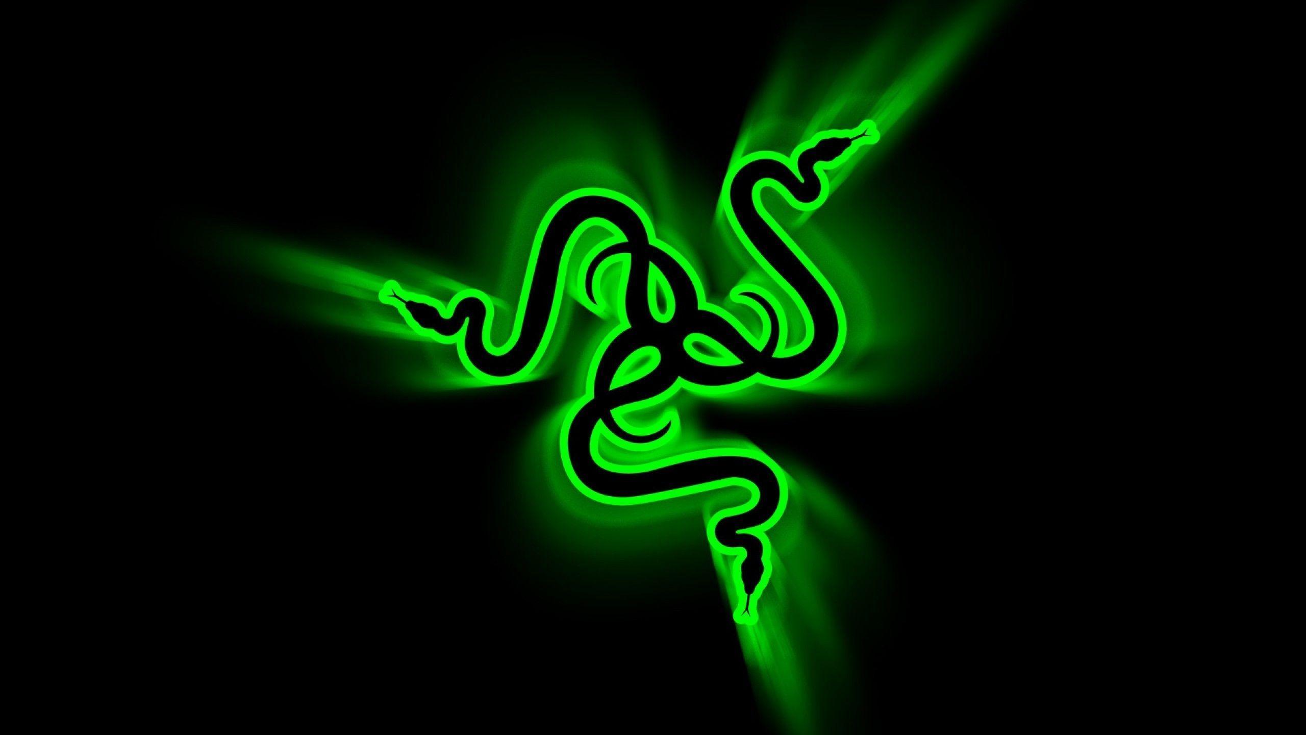 2560x1440 Neon Snakes Wallpaper