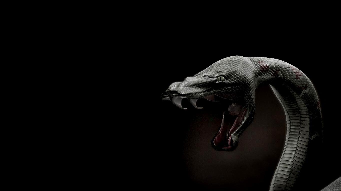 1366x768 HD Snake Wallpaper, Beautiful Green HD Snake Wallpaper