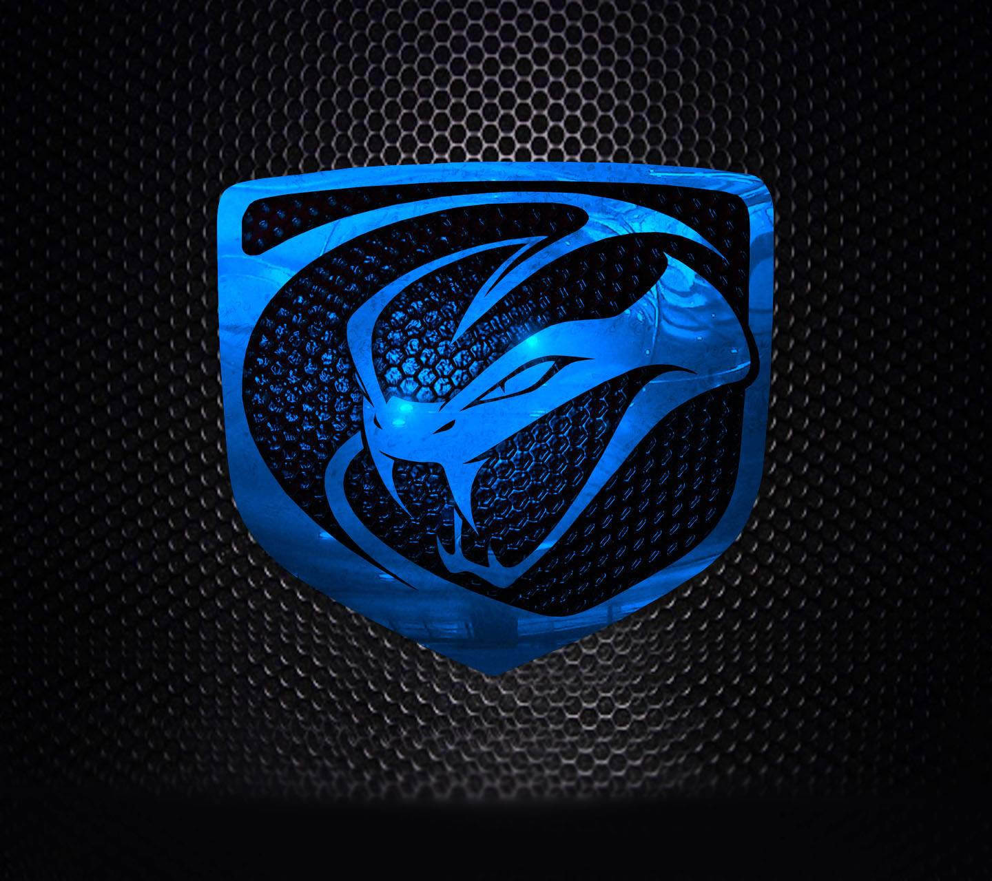 1440x1280 Neon Viper wallpaper