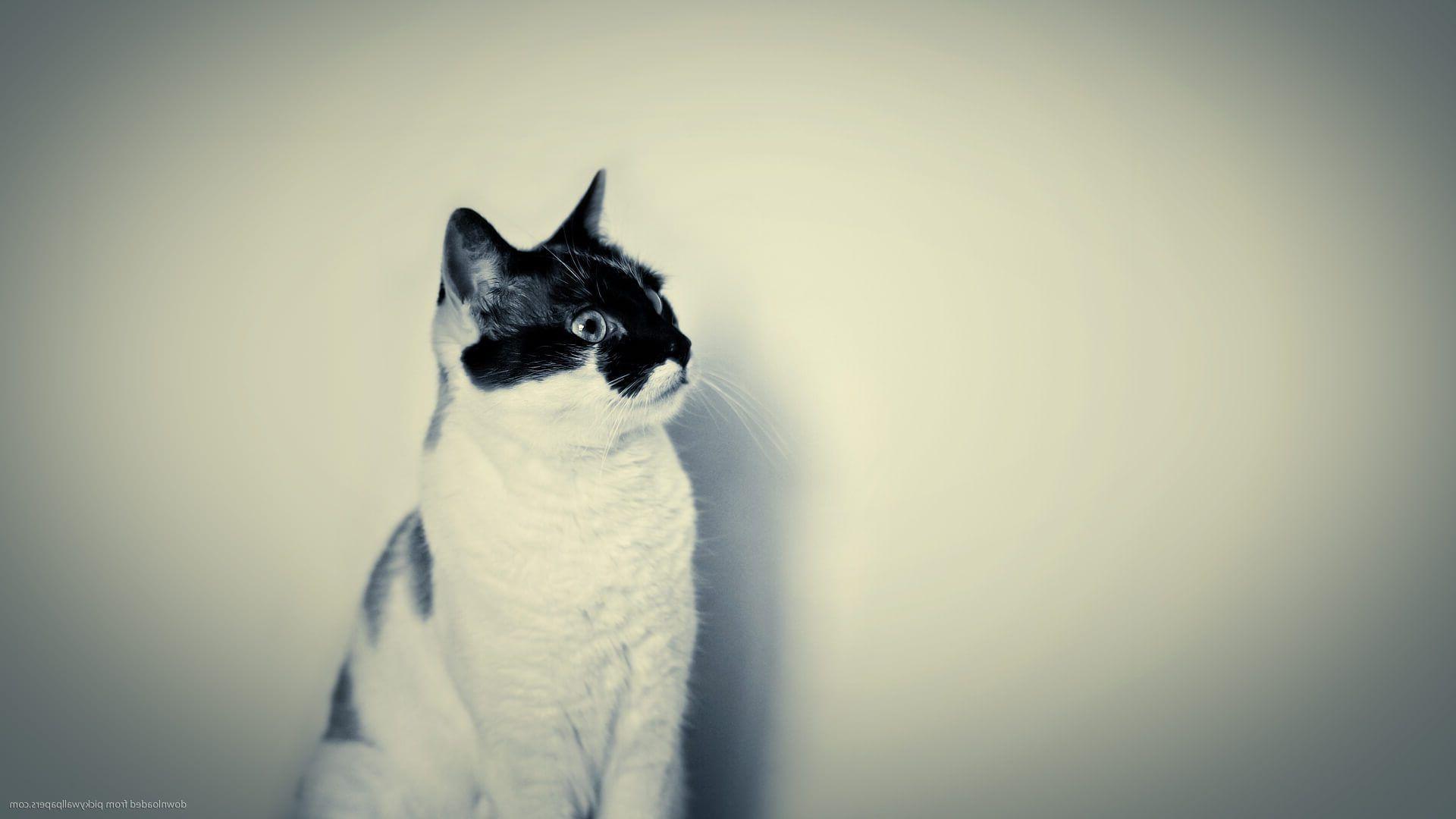 1920x1080 hipster iphone wallpaper tumblr x 750