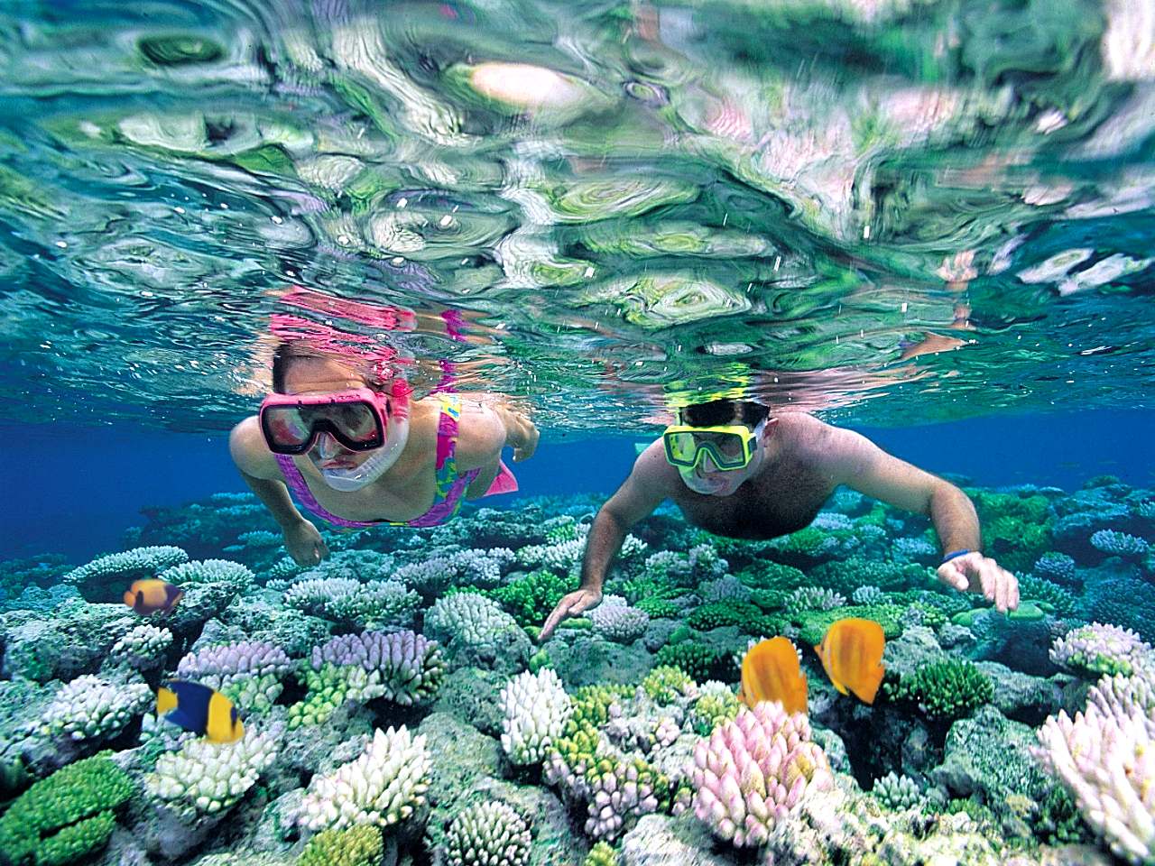 1280x960 Snorkeling HD Wallpaper