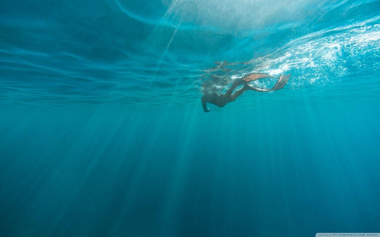 1280x800 Free download Snorkeling Wallpaper and Background Image stmednet