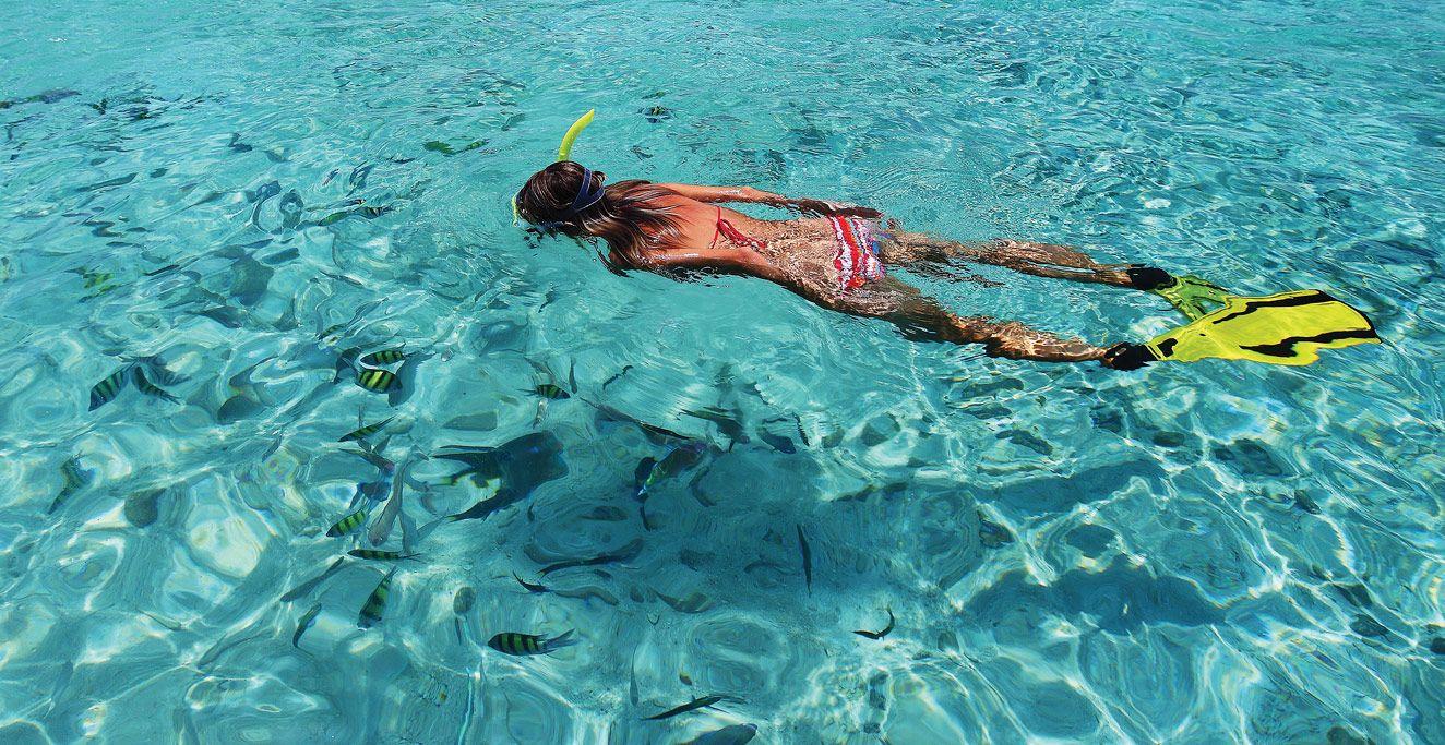 1324x683 Most viewed Snorkeling wallpaperK Wallpaper