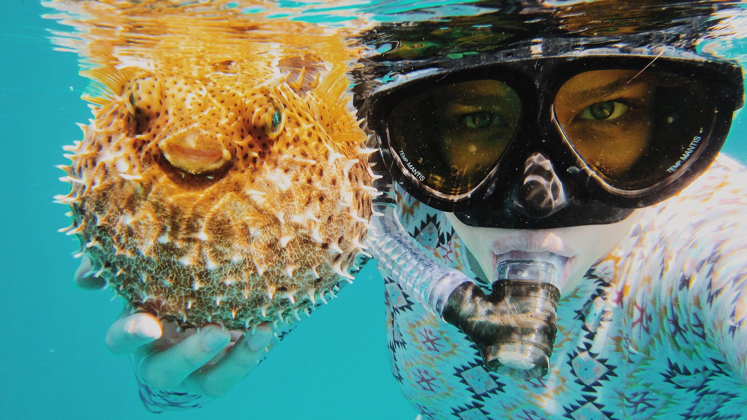 2560x1440 Snorkeling HD wallpaper free download