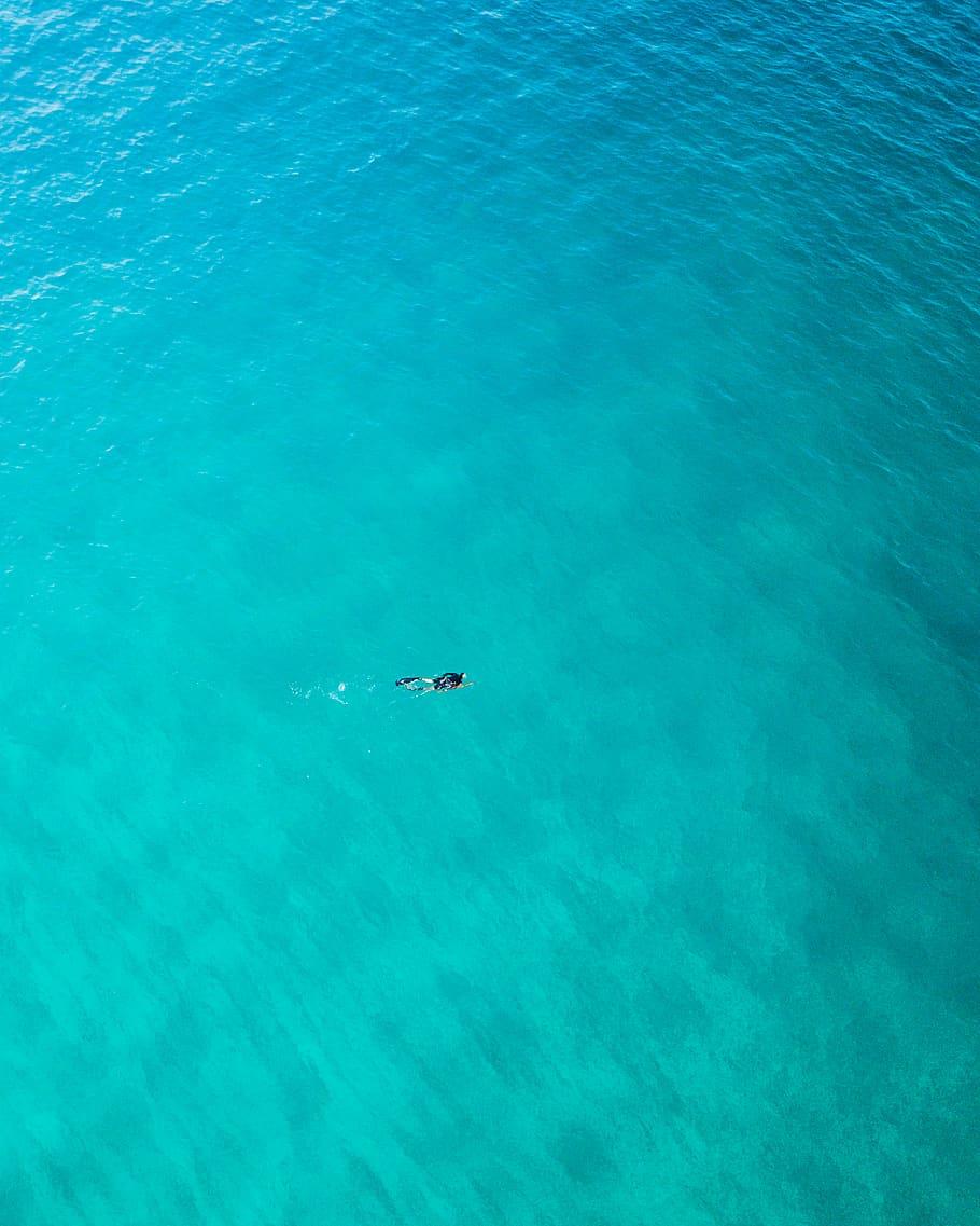 910x1137 HD wallpaper: mexico, cabo san lucas, snorkel, spearfishing