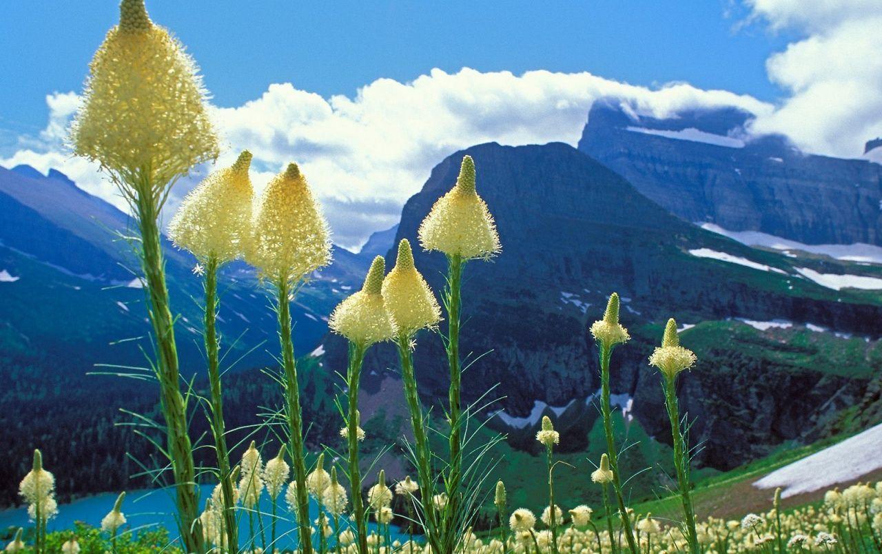 1280x804 Glacier National Park wallpaper. Glacier National Park