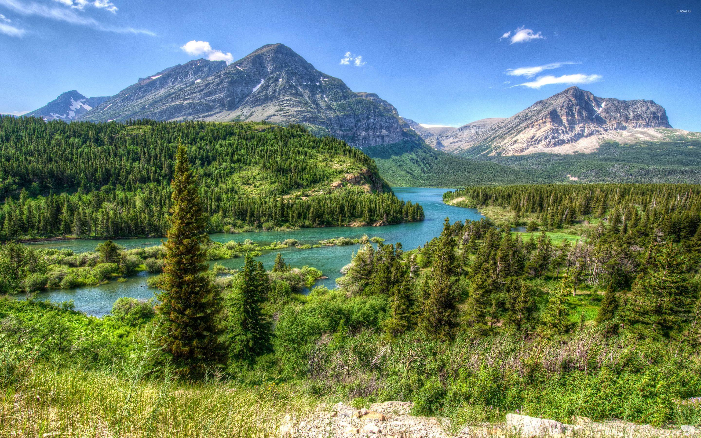 2880x1800 Amazing green forest in Glacier National Park wallpaper