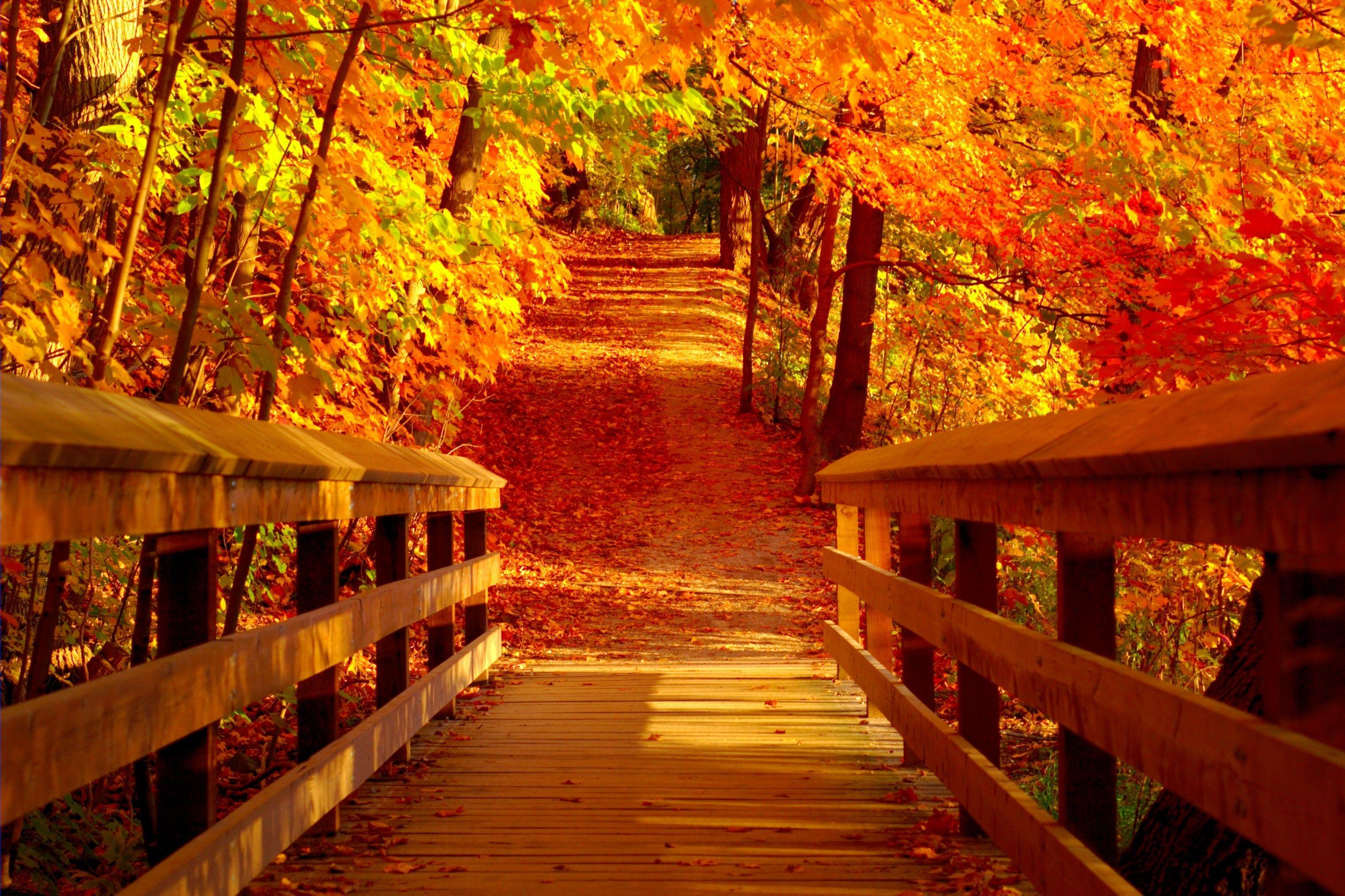  October Scenery Wallpapers Top Free October Scenery Backgrounds 