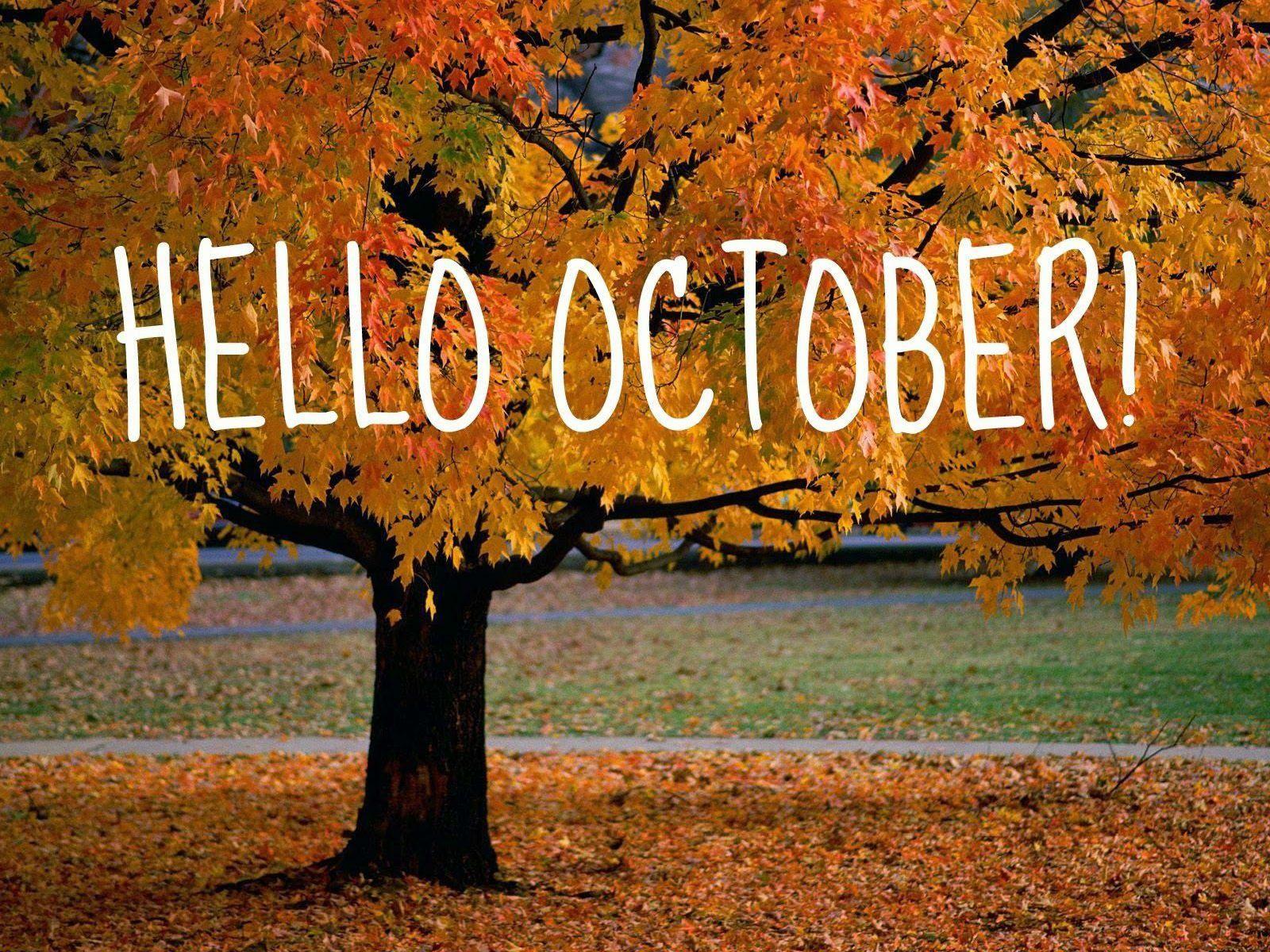 october-scenery-wallpapers-top-free-october-scenery-backgrounds