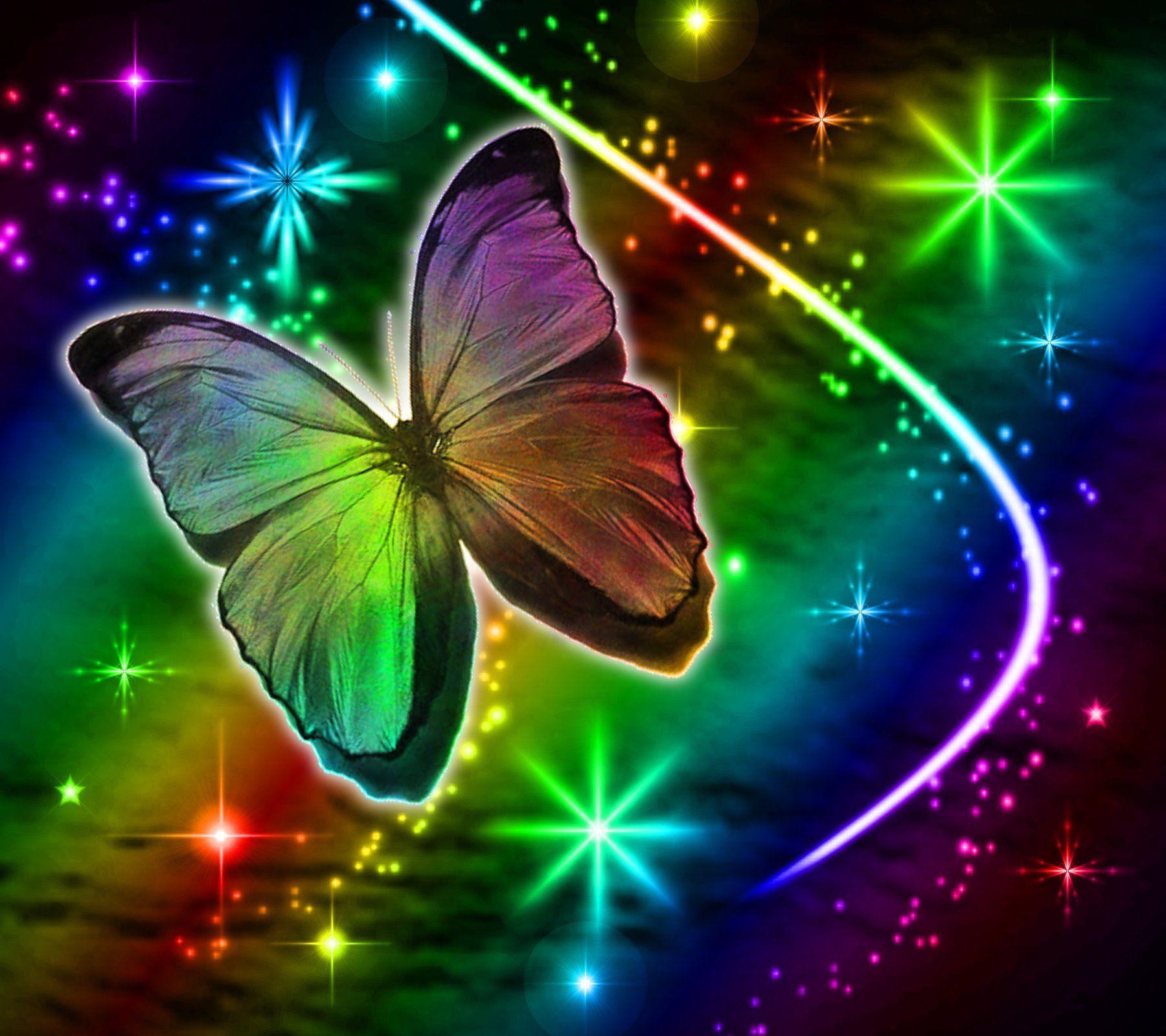 Rainbow butterfly beautiful  New New HD wallpaper  Pxfuel