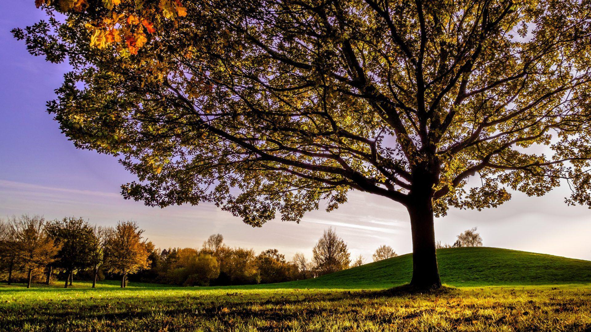 October Scenery Wallpapers - Top Free October Scenery Backgrounds