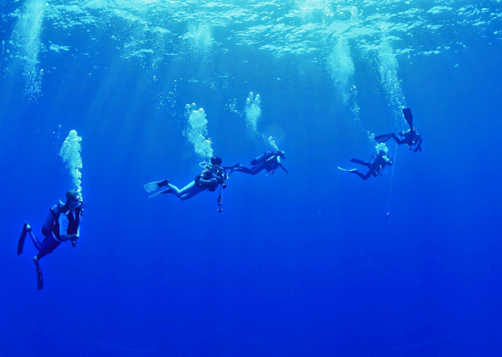 1600x1136 Dive Wallpaper. Skydive Wallpaper, Duck
