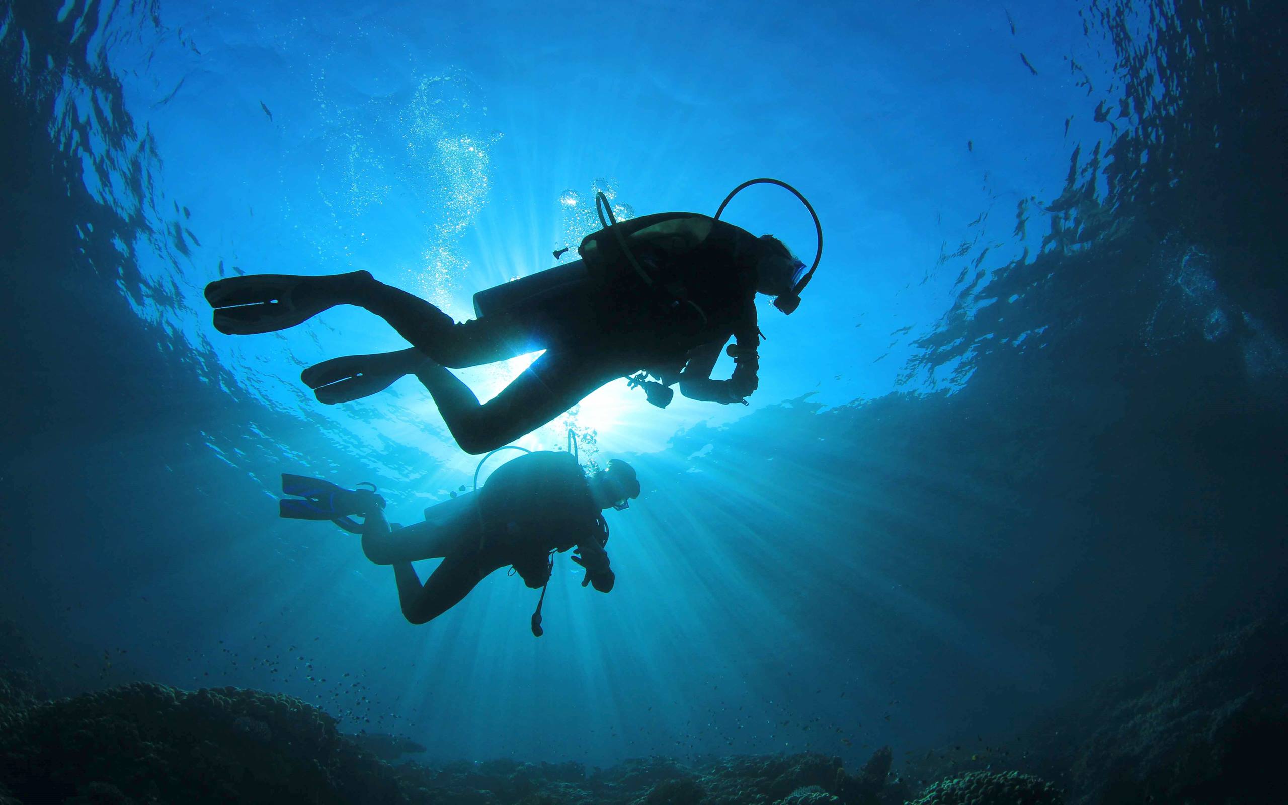 Deep Sea Diver Wallpapers - Top Free Deep Sea Diver Backgrounds -  WallpaperAccess