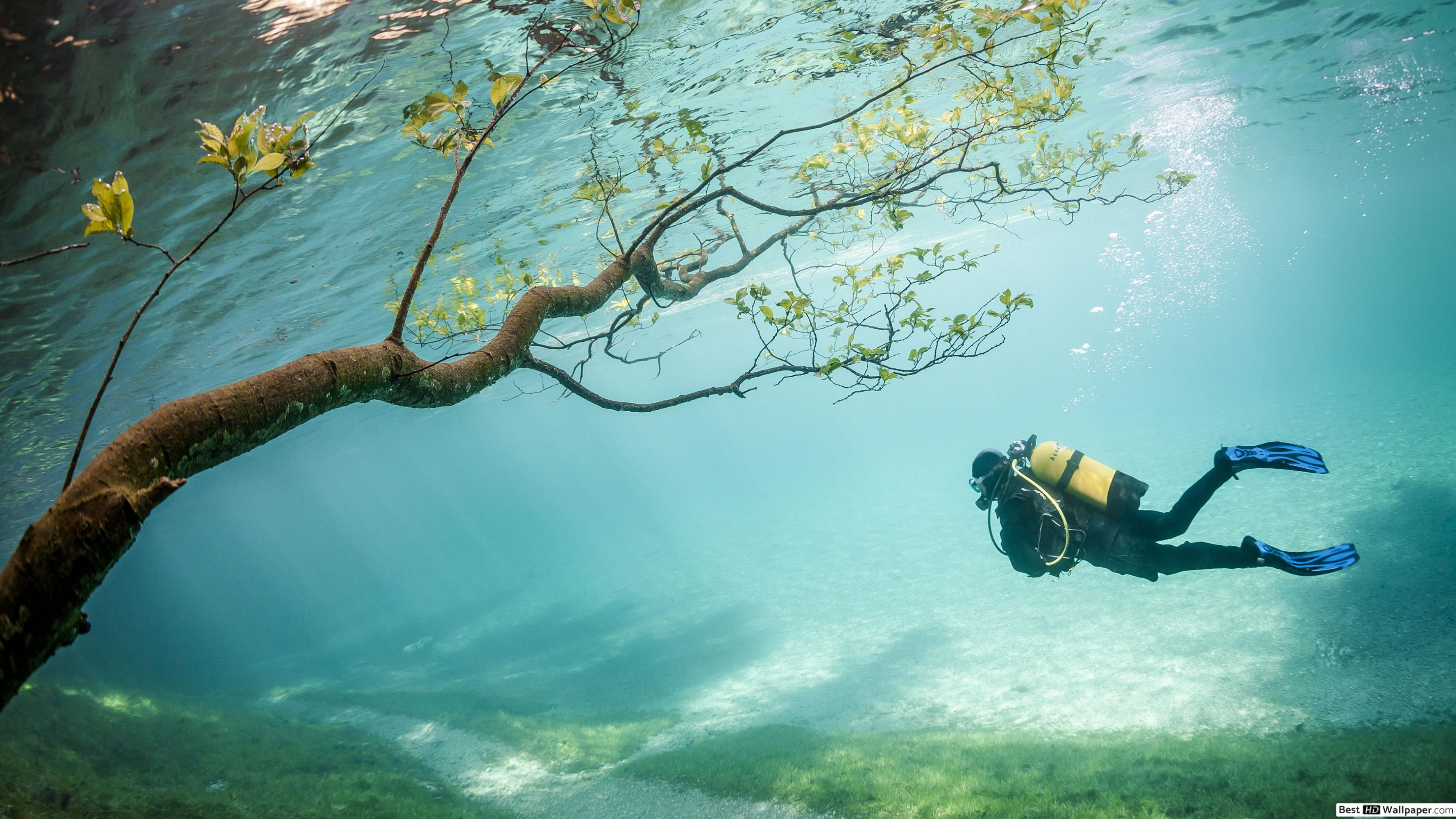 Scuba Diver Wallpapers - Top Free Scuba Diver Backgrounds - WallpaperAccess