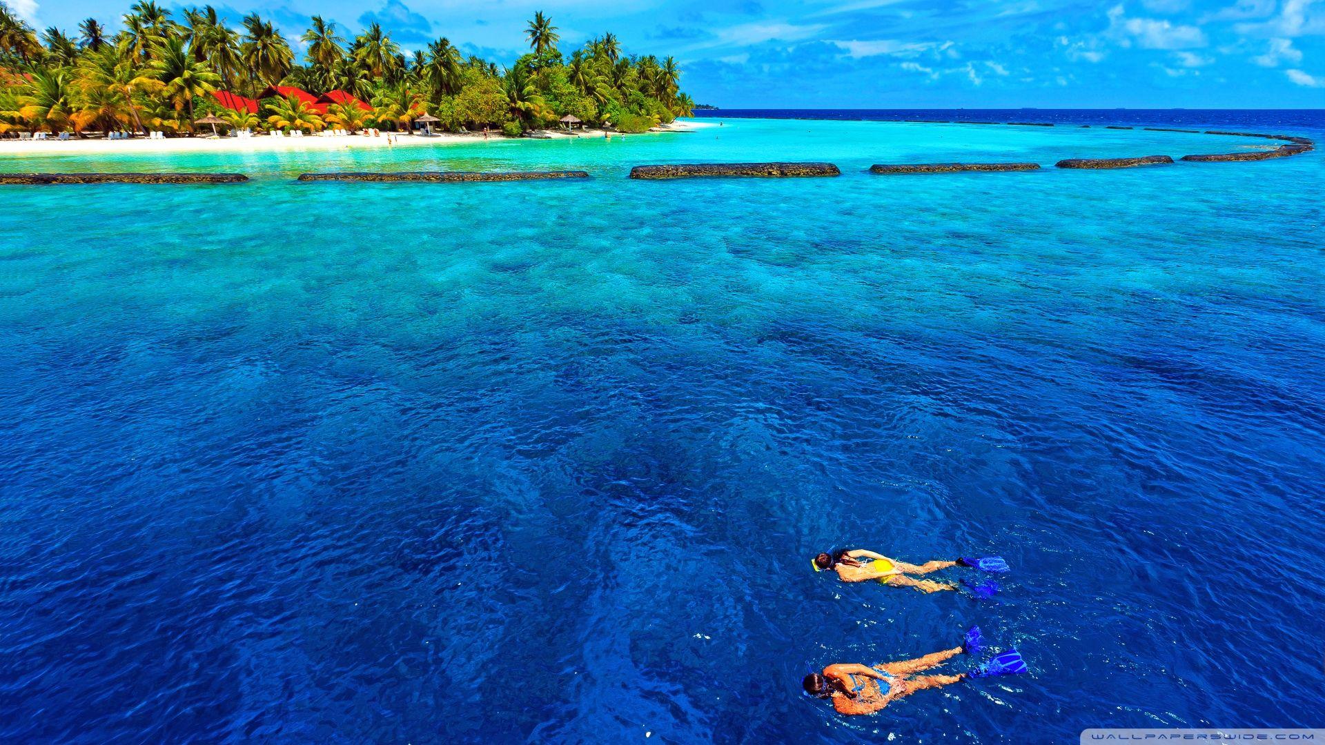 Snorkeling Wallpapers - Top Free Snorkeling Backgrounds - WallpaperAccess