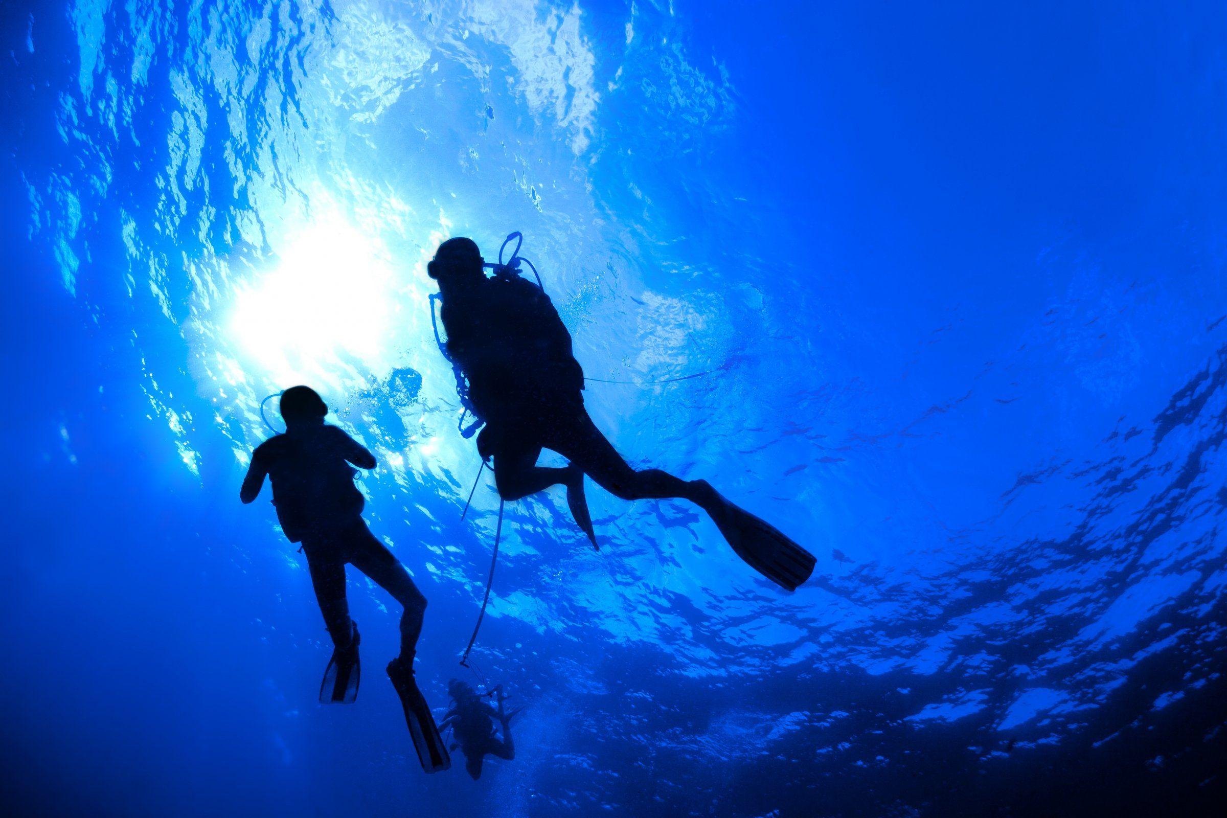Dive in. Скуба дайвинг. Подводный дайвинг. Красивый дайвинг. Подводное плавание с аквалангом