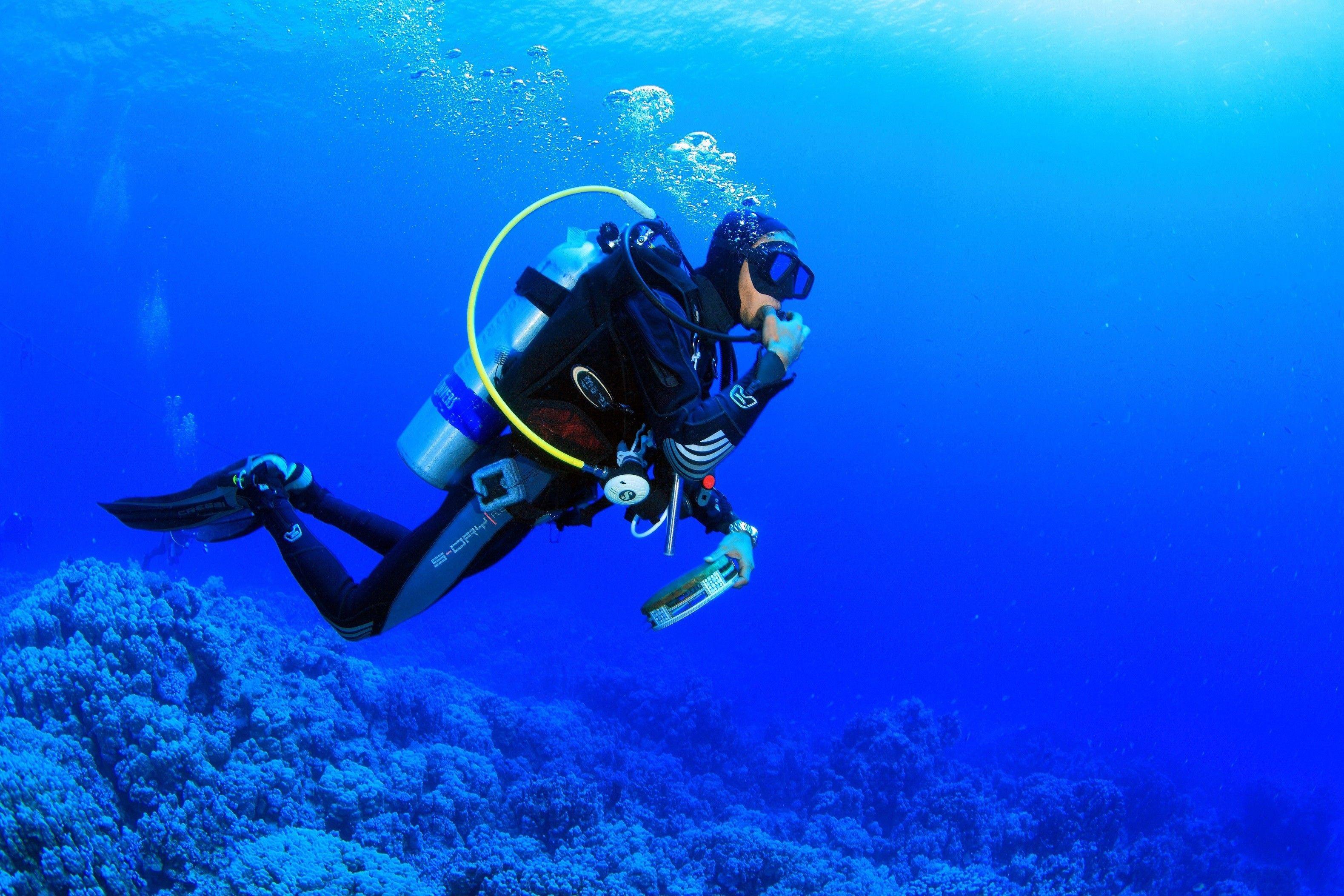 3159x2106 Scuba Wallpaper