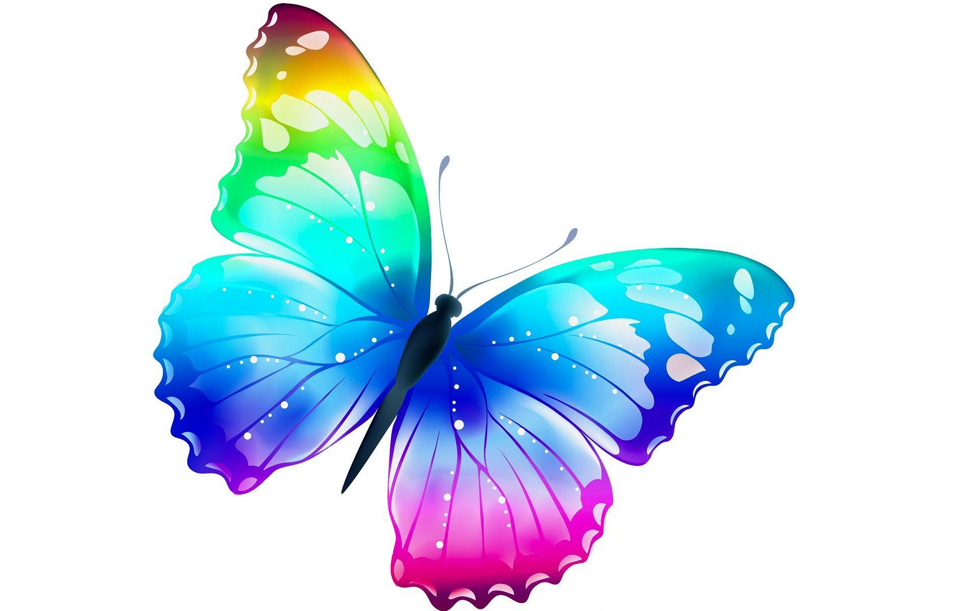 Rainbow Butterfly Wallpapers - Top Free Rainbow Butterfly Backgrounds
