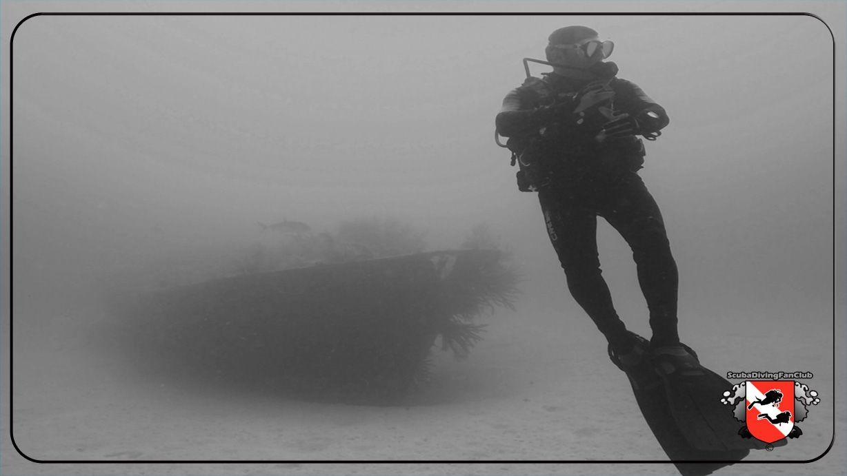 1228x691 Scuba Diving Wallpaper Free Diving Wallpaper