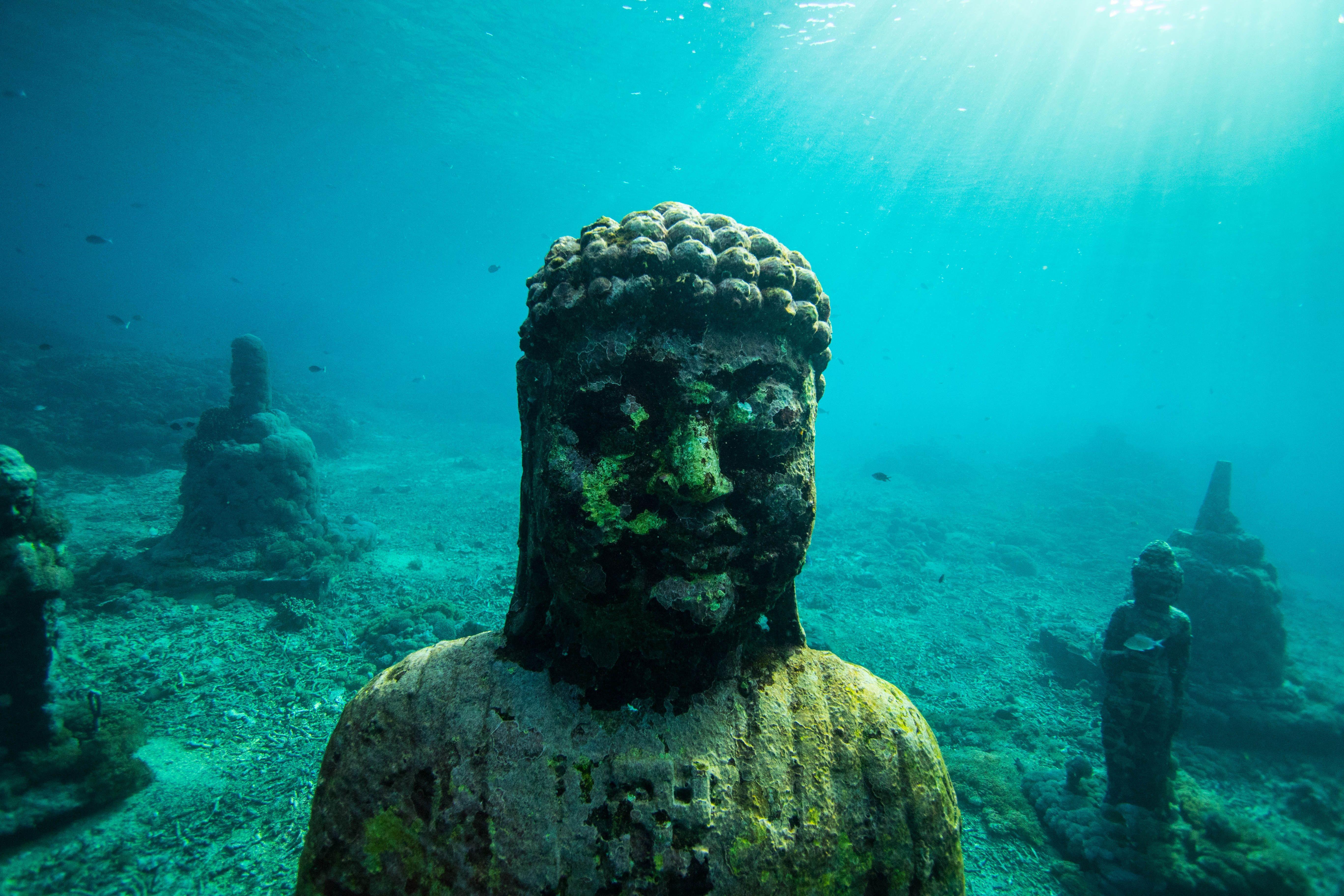 5472x3648 snorkeling wallpaper and background